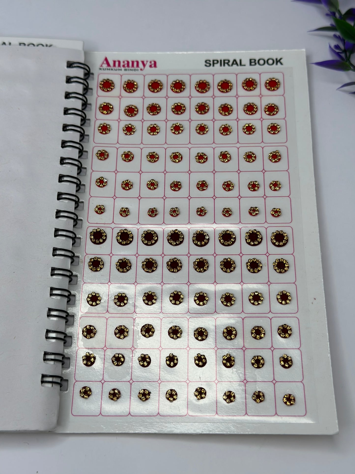 Bindi Book