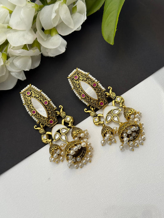 Earrings
