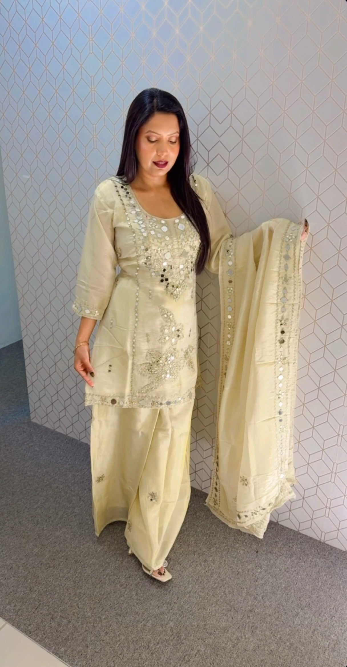 Mirror Party wear suit