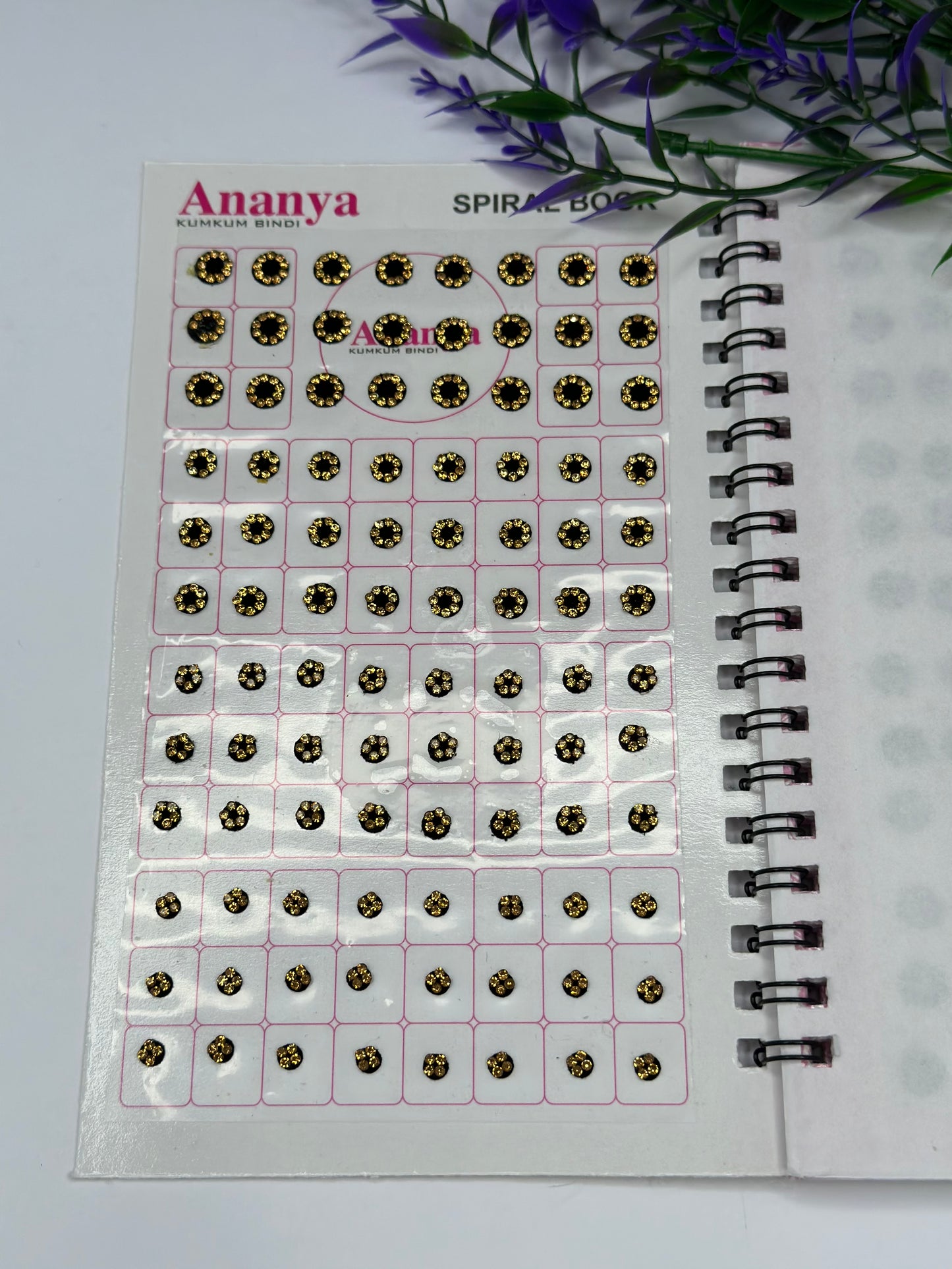 Black Bindi Book