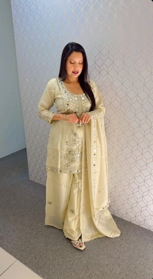 Mirror Party wear suit