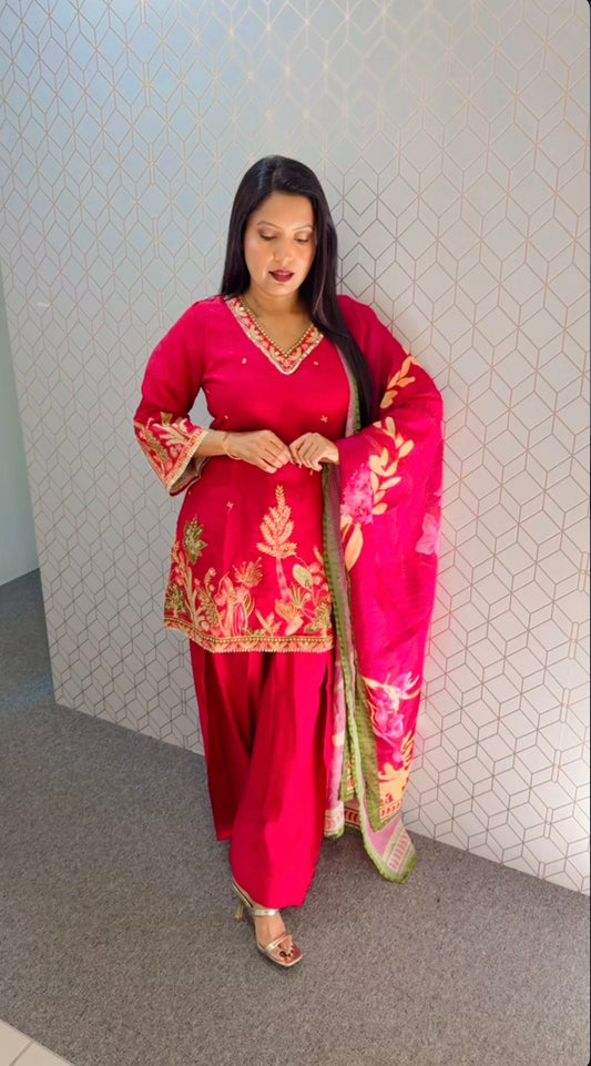 Farshi Silwaar suit