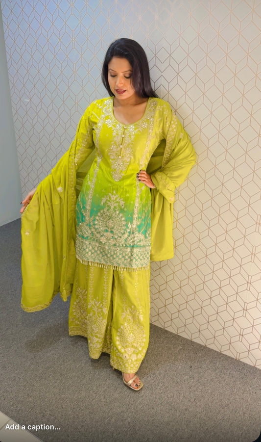 Party wear suit